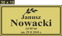 Tablice natrumienne Świeckie - wzór 30X15