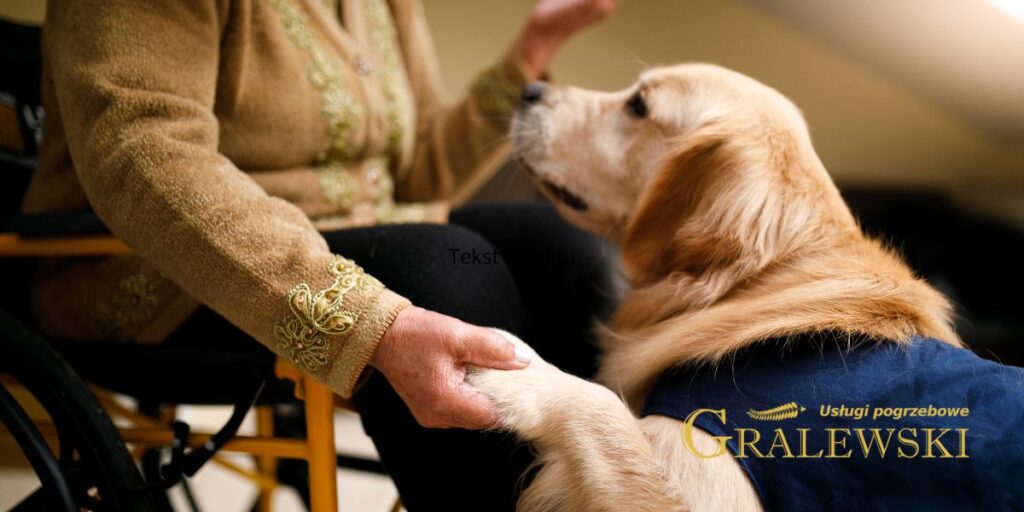 pies na pogrzebie