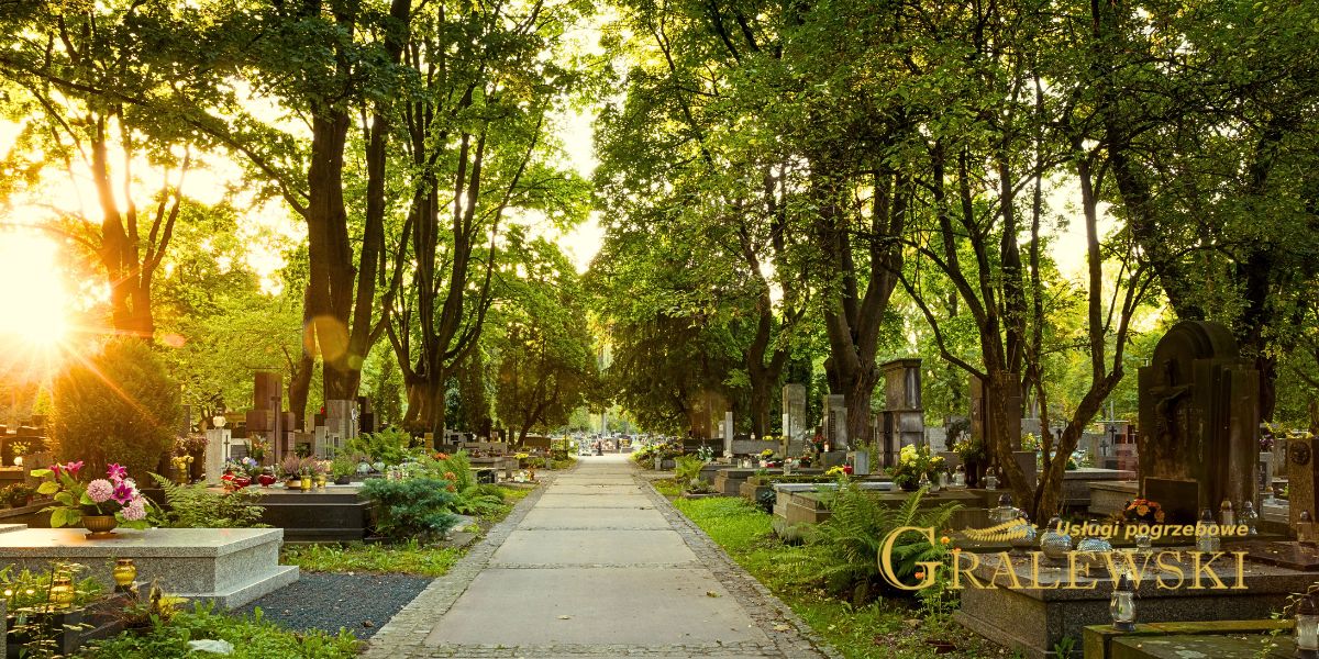 spacer po cmentarzu